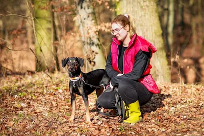 Zdrowa Główka Behawiorysta Gdańsk Trener Psów Kotów Rehabilitacja Fizjoterapia - Zoofizjoterapeuta Gdańsk